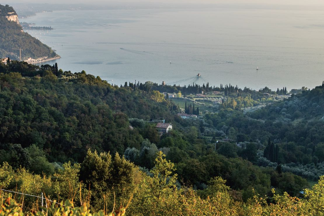 Oltre i luoghi comuni. La serietà del Chiaretto