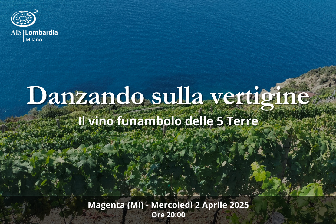 Danzando sulla vertigine: il vino funambolo delle Cinque Terre, a Magenta